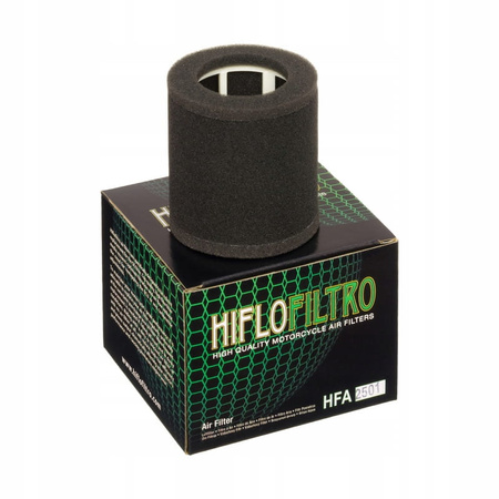 Filtr Powietrza Hiflofiltro HFA2501