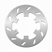 Tarcza Hamulcowa NG NG113