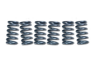 Sprężyny Sprzęgła EBC CSK120